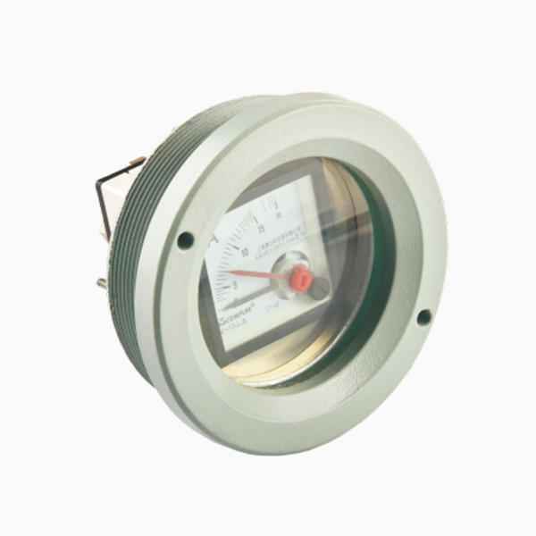 CZ2000-1-BW70 Exd flameproof observation window(with meter)
