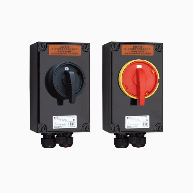 CZ1290 16-25A safety switch