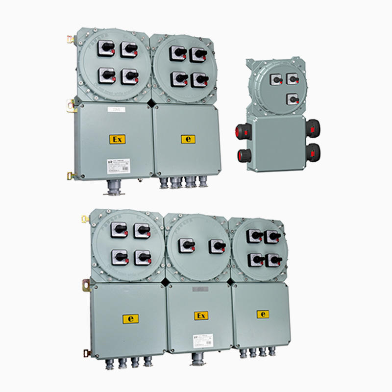 CE90-2 Explosion-proof distribution boxes