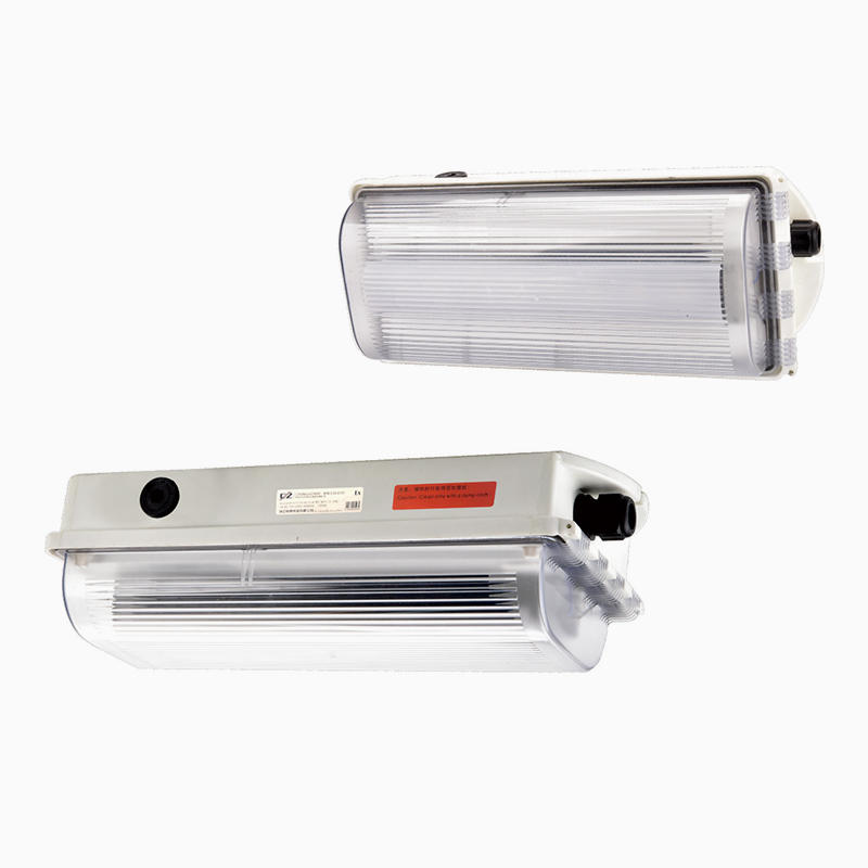 CZ0274/31 Explosion-proof LED emergency linear light fittings