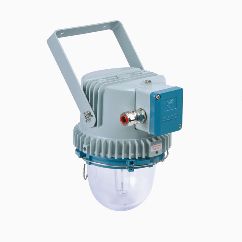CZ0871 Explosion-proof light fittings
