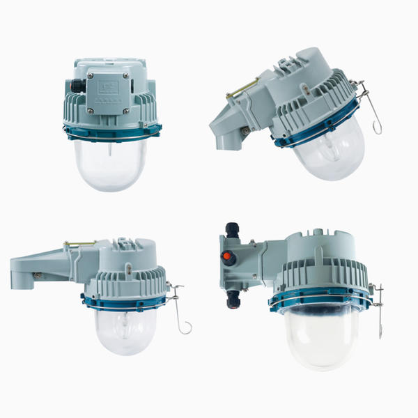 CZ0873/2 Explosion-proof light fittings