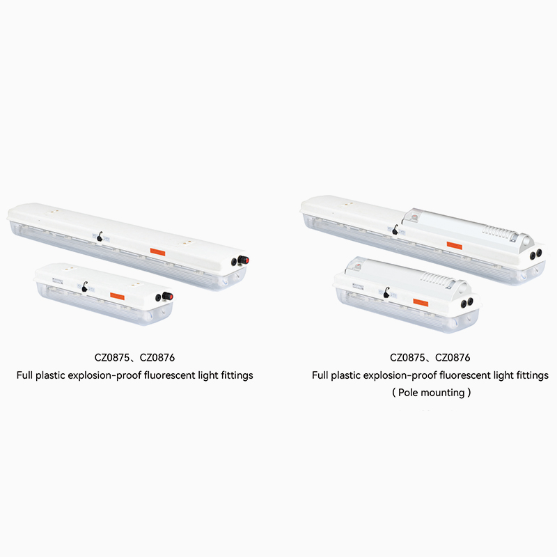 CZ0875/0876 Full plastic explosion-proof fluorescent light fittings(Pole Mounting)