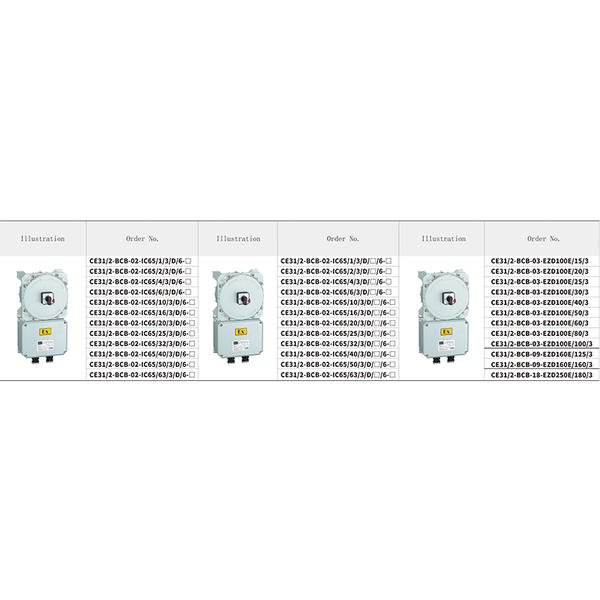 CE31-2 Explosion-proof distribution boxes(circuit breakers)