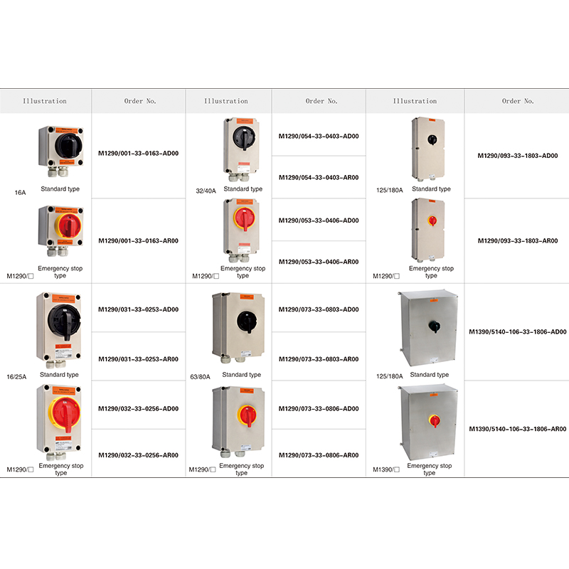 M1290 16A Industrial safety switch 