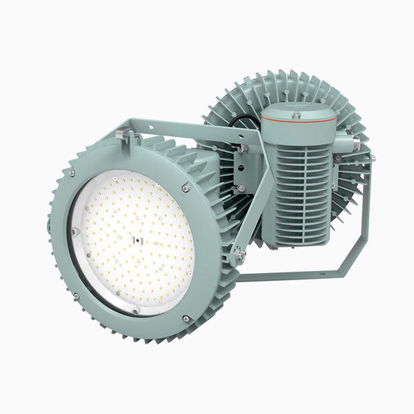 CZ6470/311 LED Explosion-proof light fittings