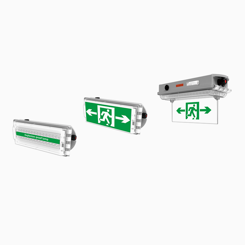 CZ0264/20 Explosion-proof LED（emergency）marking light